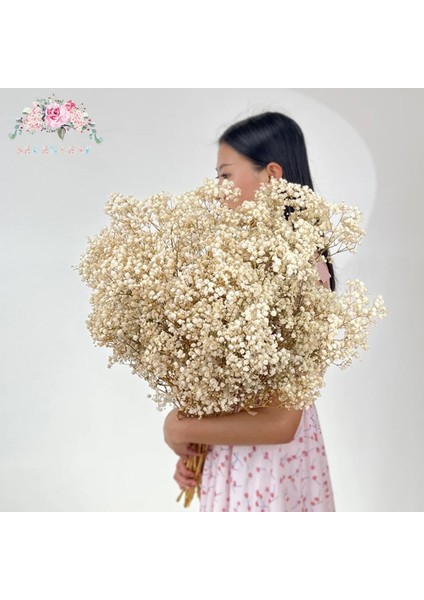 Mavi 90G Doğal Taze Kurutulmuş Korunmuş Çiçekler Gypsophila Ebedi Nefes Buketleri Sevgililer Günü Hediyesi Düğün Boho Ev Dekor Paniculata (Yurt Dışından) fiyatları