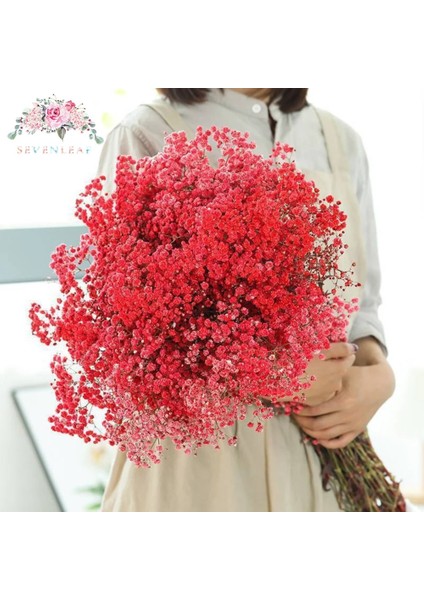 Mavi 90G Doğal Taze Kurutulmuş Korunmuş Çiçekler Gypsophila Ebedi Nefes Buketleri Sevgililer Günü Hediyesi Düğün Boho Ev Dekor Paniculata (Yurt Dışından) fırsatları
