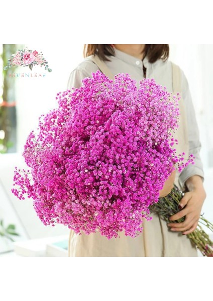Mavi 90G Doğal Taze Kurutulmuş Korunmuş Çiçekler Gypsophila Ebedi Nefes Buketleri Sevgililer Günü Hediyesi Düğün Boho Ev Dekor Paniculata (Yurt Dışından) indirimleri