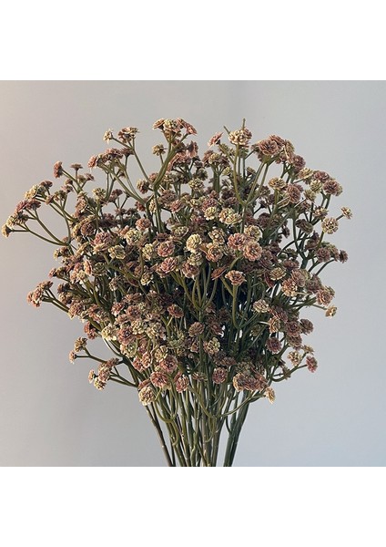 Beyaz 62 Cm/adet 81 Yüksek Kaliteli Küçük Çiçekler Sonbahar Renk Hissediyorum Yumuşak Kauçuk Gypsophila Kuru Çiçek 6 Renk Pvc Buket Ev Dekorasyon (Yurt Dışından)