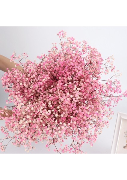 Qian Pembe 200G Kurutulmuş Çiçekler Bebeğin Nefes Buketi Fildişi Beyaz Çiçekler Ev Dekor Için Doğal Gypsophila Dalları Düğün Masa Dekor Çiçek (Yurt Dışından)