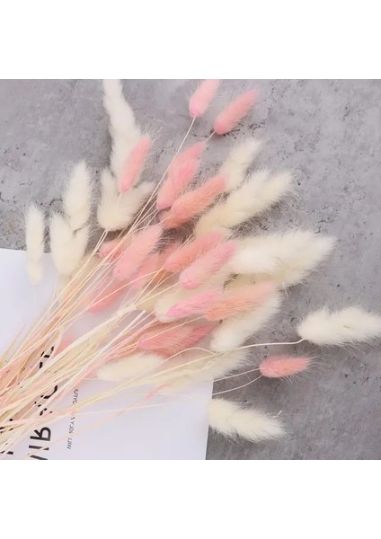 Mix B 60 Adet 60 Adet Mix Lagurus Bunny Kuyrukları Pampas Çim Dekor Ev Kek Dekor Tavşan Kuyrukları Boho Masa Dekorasyon Için Kurutulmuş Çiçekler Buket (Yurt Dışından)
