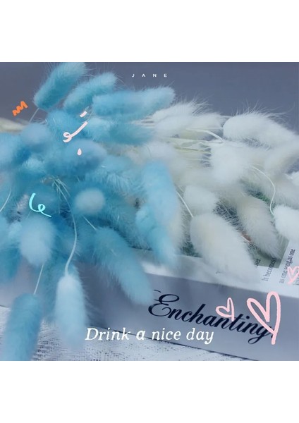 Mix B 60 Adet 60 Adet Mix Lagurus Bunny Kuyrukları Pampas Çim Dekor Ev Kek Dekor Tavşan Kuyrukları Boho Masa Dekorasyon Için Kurutulmuş Çiçekler Buket (Yurt Dışından) modelleri