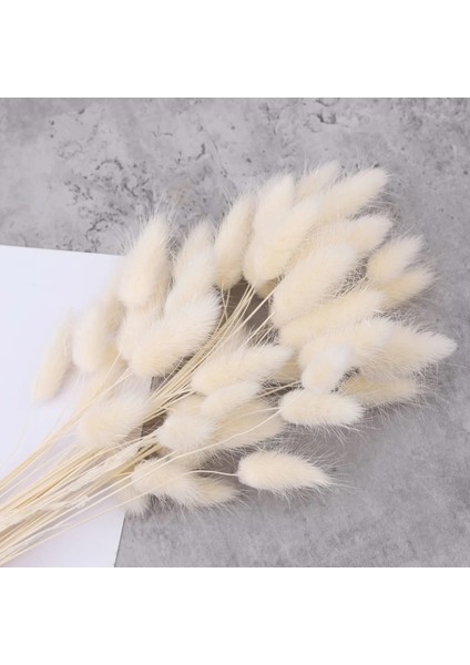 Mix B 60 Adet 60 Adet Mix Lagurus Bunny Kuyrukları Pampas Çim Dekor Ev Kek Dekor Tavşan Kuyrukları Boho Masa Dekorasyon Için Kurutulmuş Çiçekler Buket (Yurt Dışından) fırsatları