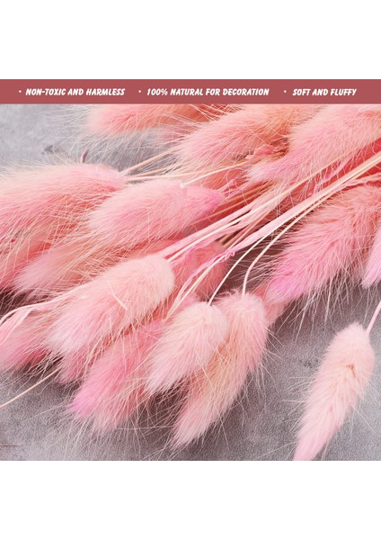 Mix B 60 Adet 60 Adet Mix Lagurus Bunny Kuyrukları Pampas Çim Dekor Ev Kek Dekor Tavşan Kuyrukları Boho Masa Dekorasyon Için Kurutulmuş Çiçekler Buket (Yurt Dışından) indirimleri