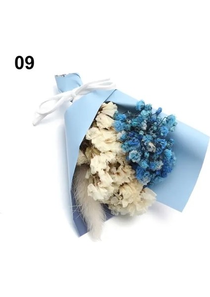 Stil 9 Mini Babysbreath Doğal Taze Kurutulmuş Korunmuş Çiçekler Küçük Doğal Kurutulmuş Çiçekler Buket Basın Dekoratif Fotoğraf Arka Fonu Dekor (Yurt Dışından)