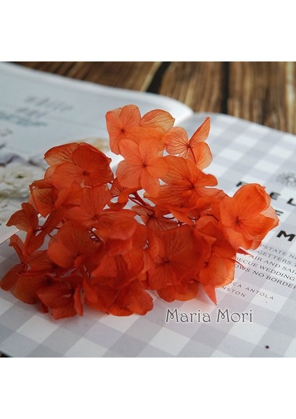 Renk M015 5g Büyük Yaprakları Macrophylla Korunmuş Ortanca Ofis Dekor Korunmuş Çiçekler Ev Dekorasyon Anna Ortanca Düğün Dekorasyon (Yurt Dışından)