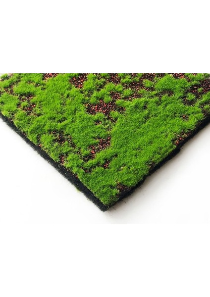 B 10X15 cm Yapay Yosun Çim Simülasyon Çim Duvar Yeşil Bitki Dıy Yapay Çim Düğün Mini Bahçe Mikro Eko Şişe Dekorasyon (Yurt Dışından)