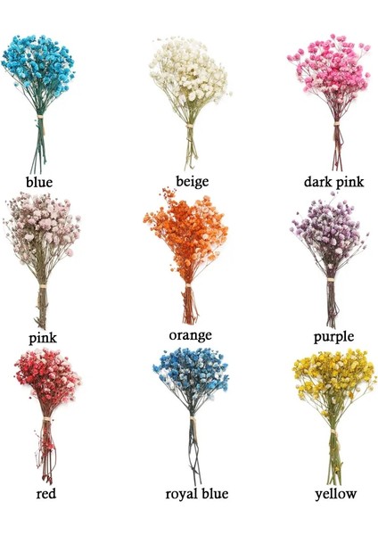 Tip 9 Mini Babysbreath Doğal Taze Kurutulmuş Korunmuş Çiçekler Küçük Doğal Kurutulmuş Çiçekler Buket Basın Dekoratif Fotoğraf Arka Fonu Dekor (Yurt Dışından)