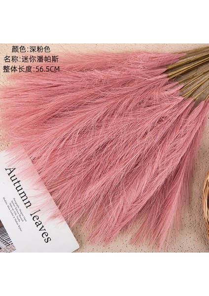 Koyu Pembe 1pc 1/5/10/20PCS 55CM Mini Sahte Pampas Çim Yapay Görkemli Çim Vazo Dolgu Çiçek Ev Oturma Odası Mutfak Düğün Boho Dekor (Yurt Dışından)