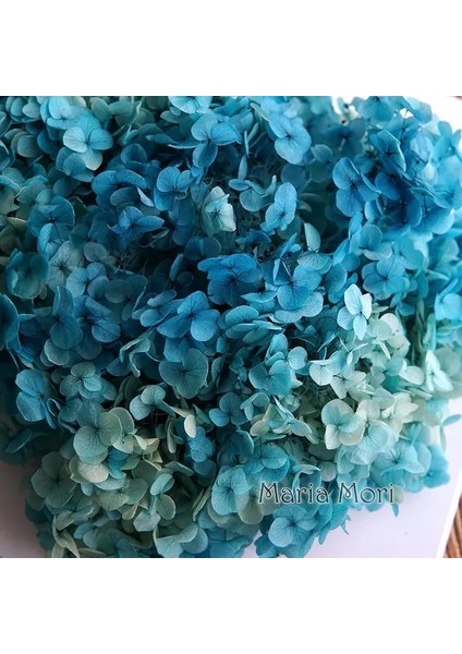 Degrade Renk 73A 10G Degrade Renk Korunmuş Ortanca Ev Dekorasyon Düğün Dekorasyon Küçük Yaprak Anna Ortanca Epoksi El Yapımı Dıy Malzeme (Yurt Dışından)