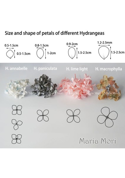Degrade Renk 73A 10G Degrade Renk Korunmuş Ortanca Ev Dekorasyon Düğün Dekorasyon Küçük Yaprak Anna Ortanca Epoksi El Yapımı Dıy Malzeme (Yurt Dışından) fiyatları
