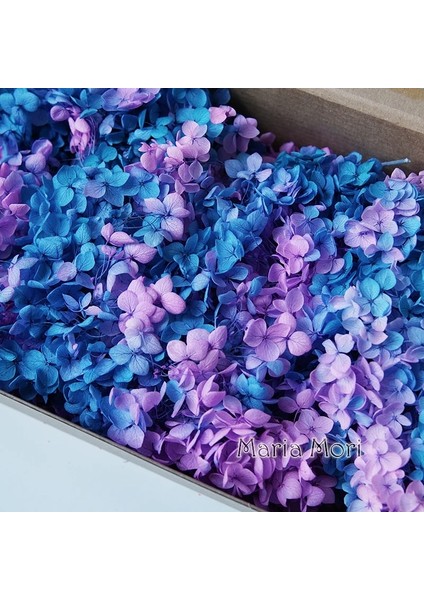 Degrade Renk 73A 10G Degrade Renk Korunmuş Ortanca Ev Dekorasyon Düğün Dekorasyon Küçük Yaprak Anna Ortanca Epoksi El Yapımı Dıy Malzeme (Yurt Dışından) modelleri