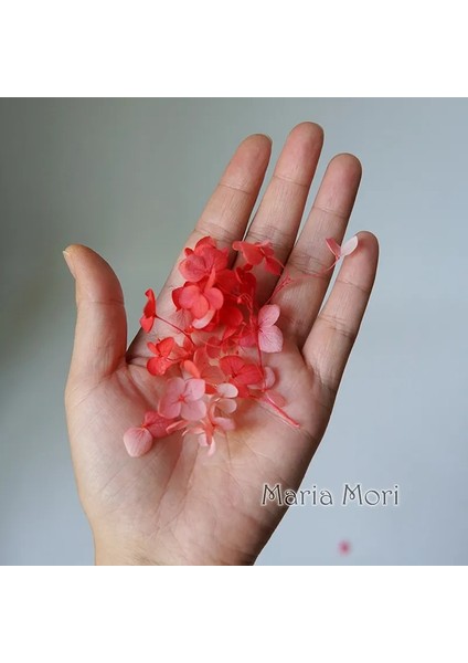 Degrade Renk 73A 10G Degrade Renk Korunmuş Ortanca Ev Dekorasyon Düğün Dekorasyon Küçük Yaprak Anna Ortanca Epoksi El Yapımı Dıy Malzeme (Yurt Dışından) fırsatları