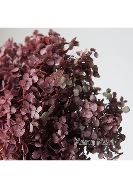 Degrade Renk 73A 10G Degrade Renk Korunmuş Ortanca Ev Dekorasyon Düğün Dekorasyon Küçük Yaprak Anna Ortanca Epoksi El Yapımı Dıy Malzeme (Yurt Dışından) indirimleri