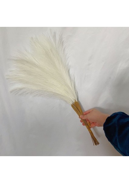 Sütlü Beyaz 20PCS 55CM 5/10/20PCS Kabarık Pampas Çim Boho Dekor Çiçek Sahte Bitki Kamış Simüle Düğün Parti Ev Dekorasyon Yapay Çiçekler (Yurt Dışından)