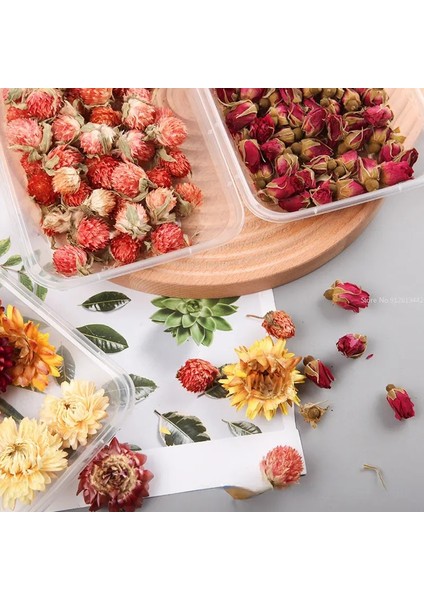 Julius 10G Doğal Bitki Kurutulmuş Çiçek Malzeme Paketi Dıy Aromaterapi Balmumu Dilim Hediye Kutusu Epoksi Reçine Takı Yapımı Çiçek Aksesuarları (Yurt Dışından) indirimleri