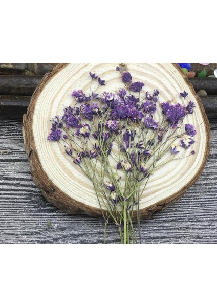 Mor 60 Adet 5-10 cm Kurutulmuş Preslenmiş Emilmiş Gypsophila Çiçekler Bitki Herbaryum Takı Fotoğraf Çerçevesi Telefon Kılıfı Imi Zanaat Dıy (Yurt Dışından)