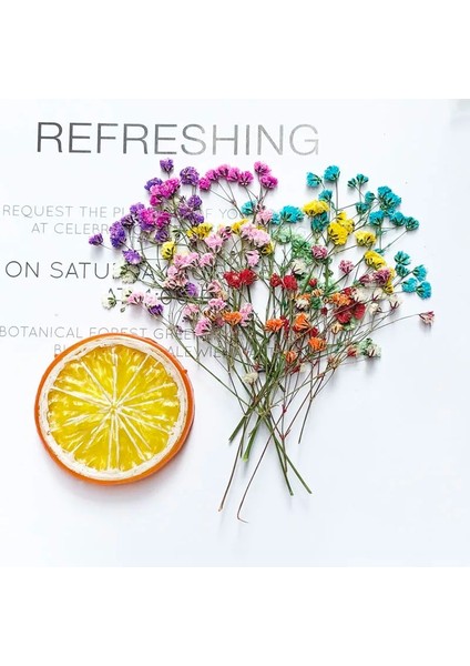 Mor 60 Adet 5-10 cm Kurutulmuş Preslenmiş Emilmiş Gypsophila Çiçekler Bitki Herbaryum Takı Fotoğraf Çerçevesi Telefon Kılıfı Imi Zanaat Dıy (Yurt Dışından) modelleri