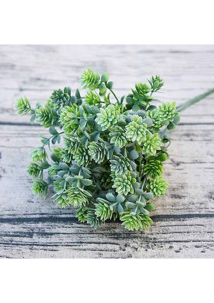 Renk C Plastik Etli Bitkiler Yapay Sonbahar Yaprakları Flores Dıy Suculentas Artificiais Düğün Dekorasyon Bitki Sahte Çiçekler Çelenk (Yurt Dışından) fiyatları