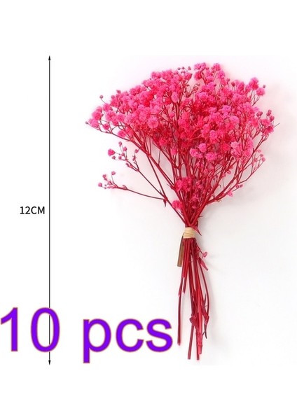 10 Demet Mini Doğal Kurutulmuş Çiçek Bebeğin Nefesi Taze Korunmuş Buket Dekor Fotoğraf Fotoğraf Arka Plan Düğün Dekorasyon (Yurt Dışından) fiyatları