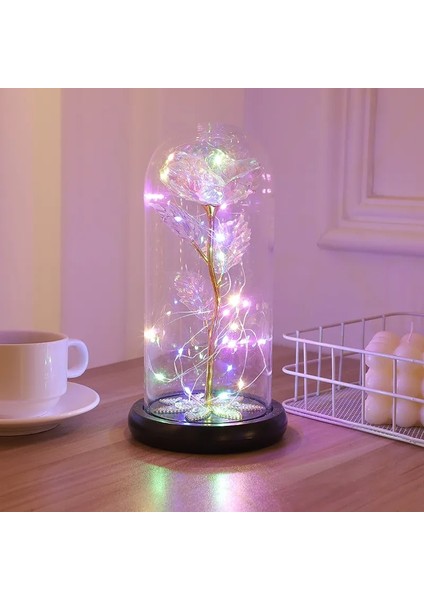 048 2020 LED Magic Galaxy Rose Ebedi 24K Altın Folyo Çiçek Kubbe Peri Dize Işıklar Noel Sevgililer Günü Anneler Günü Hediyesi (Yurt Dışından)