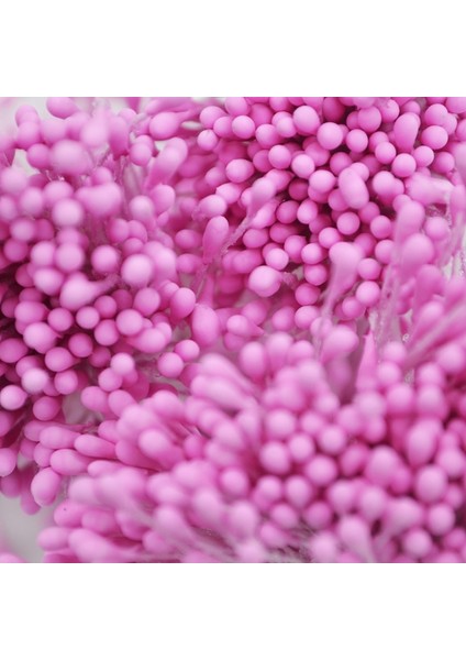 F06 400 Adet 400/800/4000 Adet 1.5mm Mini Inci Çiçek Ercik Pistil Çift Kafaları Düğün Ev Dekorasyonu Dıy El Sanatları Scrapbooking Sahte Çiçekler (Yurt Dışından) indirimleri