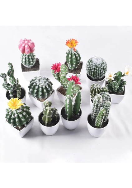 1 (Pot Yok) Yapay Plastik Kaktüs Succulents Dikenli Armut Saksı Bitki Yok Pot Çevre Dostu Simülasyon Ev Ofis Masaüstü Dekorasyon Sıcak (Yurt Dışından) fiyatları