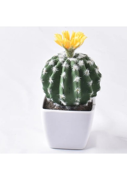 1 (Pot Yok) Yapay Plastik Kaktüs Succulents Dikenli Armut Saksı Bitki Yok Pot Çevre Dostu Simülasyon Ev Ofis Masaüstü Dekorasyon Sıcak (Yurt Dışından) fırsatları