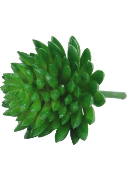 15 Yapay Succulents Yeşil Akın Bitki Kaktüs Sahte Çiçek Masaüstü Manzara Festivali Düğün Ev Bahçe Dekorasyonu (Yurt Dışından)