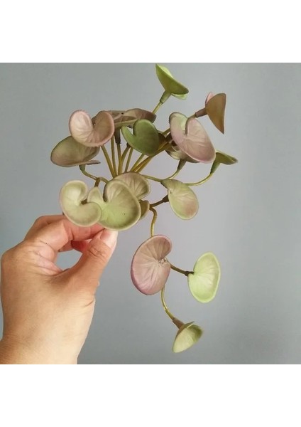 Stil 3 15 cm Yapay Bitkiler Yapraklar Sahte Çim Buketi Yeşil Bitkiler Yapraklar Tropikal Ağaç Ev Bonsai Için Şanslı Çim Yeşillik Bırakır (Yurt Dışından)