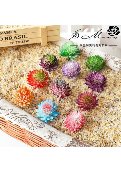 Xmei Mavi Mini Yapay Etli Bitkiler Ev Yatak Odası Oturma Odası Masaüstü Dekorasyon Küçük Orta Büyük Yeşil Kırmızı Dıy Sahte Bitkiler Bonsai (Yurt Dışından)