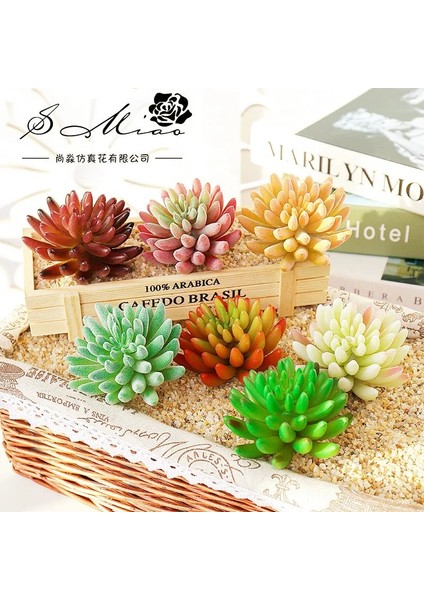 Xmei Mavi Mini Yapay Etli Bitkiler Ev Yatak Odası Oturma Odası Masaüstü Dekorasyon Küçük Orta Büyük Yeşil Kırmızı Dıy Sahte Bitkiler Bonsai (Yurt Dışından)