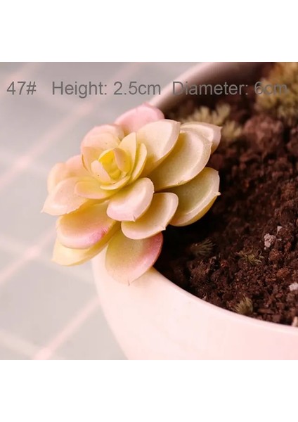 Pembe Yuanxinlian Yapay Succulents Bitkiler Beyaz Pembe Yeşil Plastik Sahte Bitkiler Peyzaj Bonsai Plantas Artificiales Ev Bahçe Dekorasyonu (Yurt Dışından)