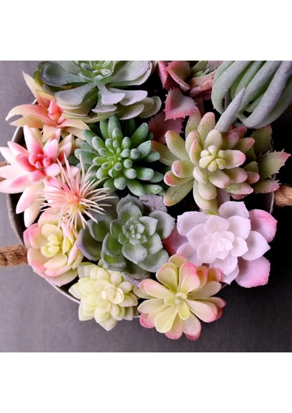 Pembe Yuanxinlian Yapay Succulents Bitkiler Beyaz Pembe Yeşil Plastik Sahte Bitkiler Peyzaj Bonsai Plantas Artificiales Ev Bahçe Dekorasyonu (Yurt Dışından) fiyatları