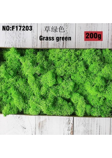 200G Çim Yeşili 200G/1 Kutu Yeşil Doğal Korunmuş Yosun Kalıcı Korunmuş Ev Bahçe Düğün Dekorasyon Malzemeleri Yosun Çiçeğiyapay Bitki (Yurt Dışından)