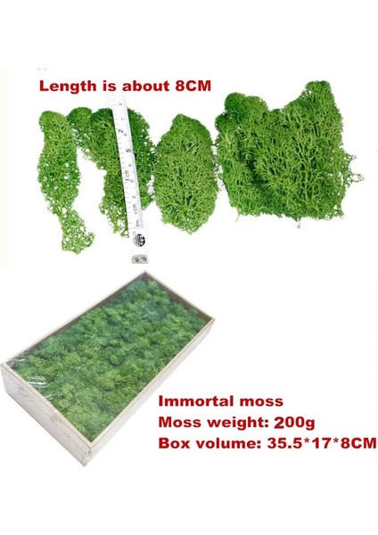 200G Çim Yeşili 200G/1 Kutu Yeşil Doğal Korunmuş Yosun Kalıcı Korunmuş Ev Bahçe Düğün Dekorasyon Malzemeleri Yosun Çiçeğiyapay Bitki (Yurt Dışından) fırsatları