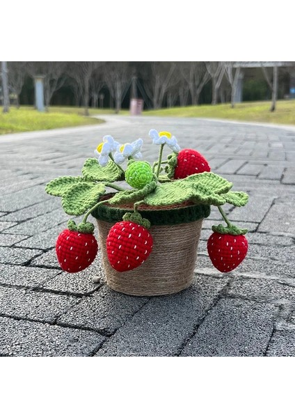 Çilek-L 1 Adet (Saksı Ile) El Yapımı Tığ Çilek Bonsai, Yaratıcı Hediye Fikri Için Yapay Bitkiler Saksı, Ofis/ev/oturma Odası Için Sevimli Masa Dekoru (Yurt Dışından) fiyatları