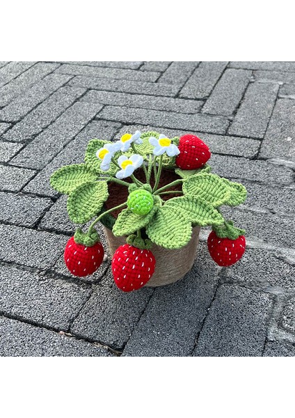 Çilek-L 1 Adet (Saksı Ile) El Yapımı Tığ Çilek Bonsai, Yaratıcı Hediye Fikri Için Yapay Bitkiler Saksı, Ofis/ev/oturma Odası Için Sevimli Masa Dekoru (Yurt Dışından) modelleri