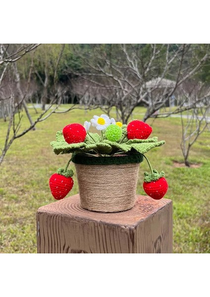 Çilek-L 1 Adet (Saksı Ile) El Yapımı Tığ Çilek Bonsai, Yaratıcı Hediye Fikri Için Yapay Bitkiler Saksı, Ofis/ev/oturma Odası Için Sevimli Masa Dekoru (Yurt Dışından) fırsatları