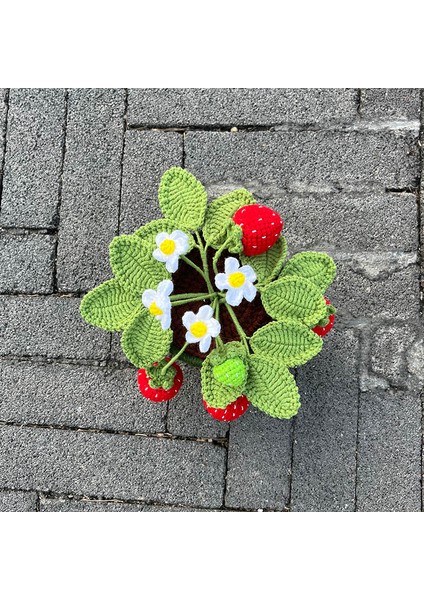 Çilek-L 1 Adet (Saksı Ile) El Yapımı Tığ Çilek Bonsai, Yaratıcı Hediye Fikri Için Yapay Bitkiler Saksı, Ofis/ev/oturma Odası Için Sevimli Masa Dekoru (Yurt Dışından) indirimleri