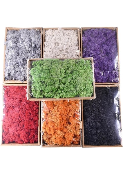 B11 2 Paket 20G 20G/40G Yosun Çim Yapay Bitki Ebedi Yaşam Yosun Çim Duvar Dıy Çiçek Malzeme Mikro Peyzaj Aksesuarı Ev Bahçe Dekor (Yurt Dışından) modelleri