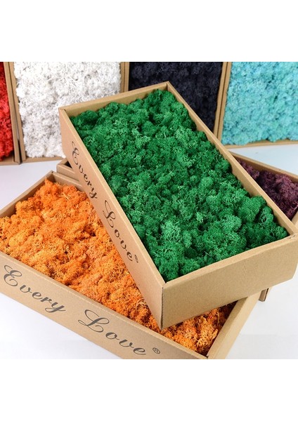 Y01 40 Gram 40/20G Yapay Ölümsüz Yosun Yeşil Sahte Bitki Ev Bahçe Oturma Odası Yeşillendirme Dekor Duvar Dolgu Çiçek Bitki Sahte Yosun (Yurt Dışından) modelleri