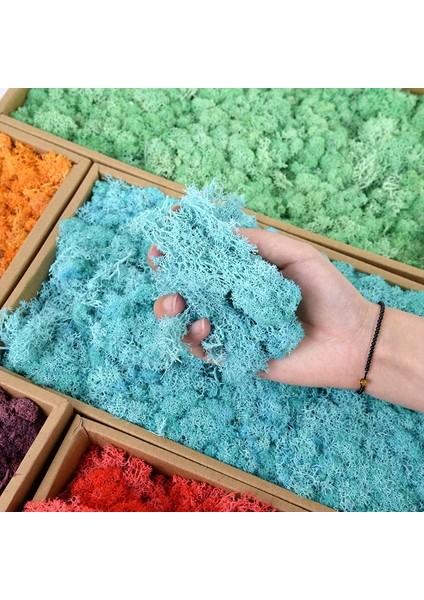 Y01 40 Gram 40/20G Yapay Ölümsüz Yosun Yeşil Sahte Bitki Ev Bahçe Oturma Odası Yeşillendirme Dekor Duvar Dolgu Çiçek Bitki Sahte Yosun (Yurt Dışından) fırsatları