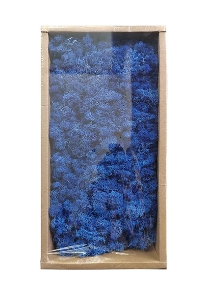 11 200G 1000G Yapay Bitkiler Ebedi Yaşam Yosun/bahçe Ev Dekor Duvar Dıy Çiçek Malzemesi Mini Bahçe Mikro Peyzaj Sahte Yosun Hediye (Yurt Dışından)