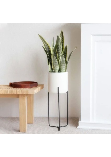 38 cm 4 Yaprak 21 Cm-68 cm Yapay Kaplan Piran Bitkiler Tropikal Plastik Uzun Yapraklar Çiçek Aranjmanı Malzemesi Otel Ofis Masaüstü Ev Dekor (Yurt Dışından) fırsatları