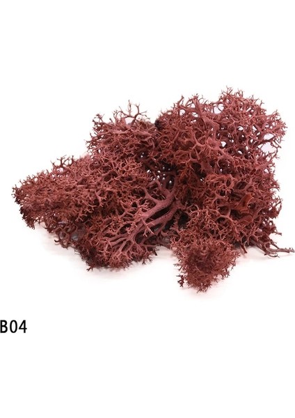B04 40G 20-40G Yapay Doğal Bitki Ebedi Yaşam Moss Mini Mikro Peyzaj Dekor Aksesuarları Ev Bahçe Süs Dıy Çiçekler El Sanatları (Yurt Dışından) fiyatları