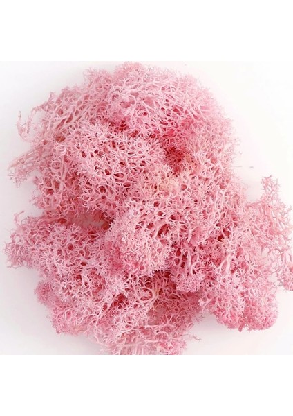 PINK-20G 20G Yapay Ölümsüz Yosun Yeşil Sahte Bitki Ev Bahçe Oturma Odası Yeşillendirme Dekor Duvar Dolgu Çiçek Bitki Sahte Yosun (Yurt Dışından)