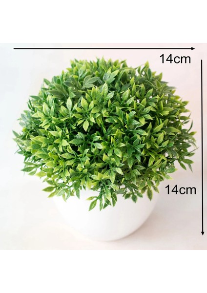 37 Kafaları Mo Li Cao Yeşil Yapay Çam Ağacı Monstera Farsça Çim Okaliptüs Bitkiler Bonsai Ev Aksesuarları Yatak Odası Oturma Odası Dekor Sahte Bitki (Yurt Dışından) modelleri
