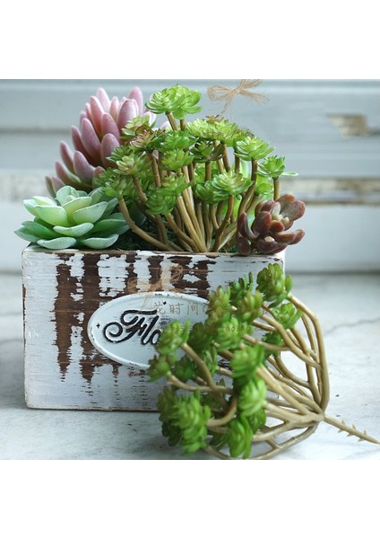 Bahar Fo Shou Cao Yeşil Yapay Succulents Bitkiler Ev Bahçe Yatak Odası Balkon Masaüstü Masa Mini Bonsai Düğün Parti Dekorasyon Sahte Bitkiler (Yurt Dışından)